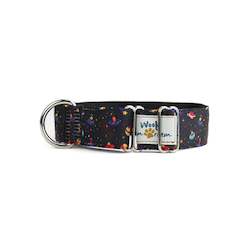 Martingale Collars: Alien Invasion Martingale Dog Collar