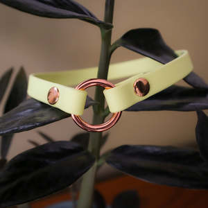 Biothane%C2%AE Slip On Id Tag Collar: BioThane® Slip-On ID Tag Collar - Pastel Yellow