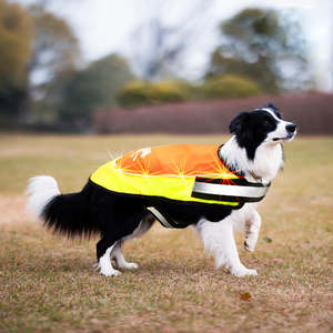Goglow: Laroo | LED Light Up Dog Safety Vest