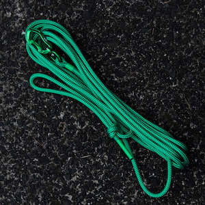Long Lines Long Dog Leashes: Green Long Line - 5m