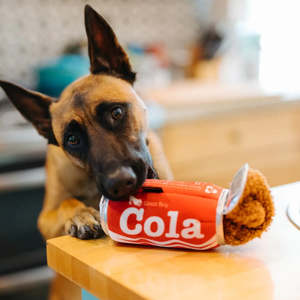 Dog Toys: P.L.A.Y. Snack Attack | GOOD BOY COLA Dog Toy