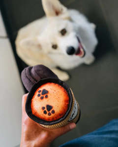 Dog Toys: P.L.A.Y. Pup Cup Cafe | Latte to Go Dog Toy