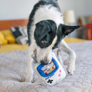 Dog Toys: P.L.A.Y. 90S Classic | Game Bone Dog Toy