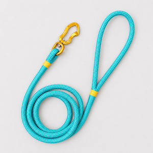 All: Gold & Tiffany Blue Rope Leash
