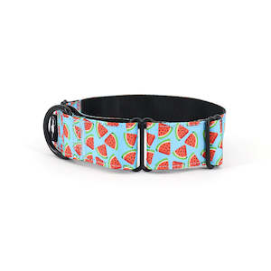 Watermelon Splash Martingale Dog Collar