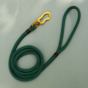 All: Gold & Forest Green Rope Leash