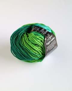 Reggae Yarn: Reggae Ombre DK -  The Meadow