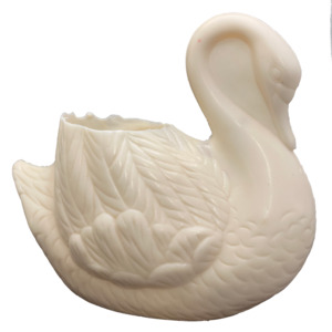 Chocolate Crown Lynn Swan