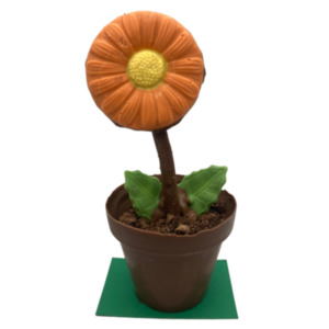 Treats: Chocolate Flower Pot