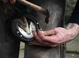 Products: Farriers and Hoofcare – Human and Horse