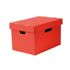 Products: Esselte Archive Box Red Work Buddy