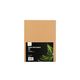 Icon Manilla File Folders A4 Kraft, Pack of 10 WORK BUDDY