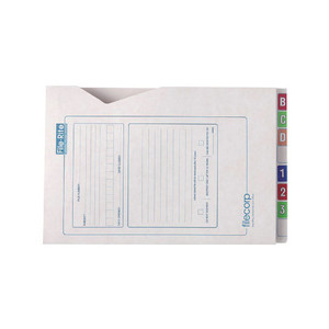 Filecorp File-Rite Top Opening Envelope 40mm File (2014) x 100 WORK BUDDY