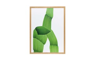 Drawing Poster, Green Kada