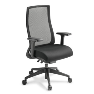 Joe Lite Mesh Task Chair