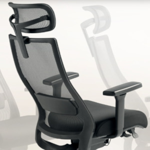 Home Essentials: Joe Ergonomic Mesh Task Chair