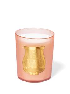30 Off Mothers Day 2020 800g 3kg Candles: CIRE TRUDON CANDLE 3kg TUILERIES