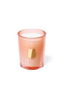 Cire Trudon Petit Candle 70g: CIRE TRUDON CANDLE 70g PETITE TUILERIES