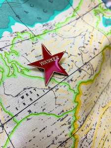 World Enamel Badges Explicit Language Warning: WORLD Enamel Badge - WANKER