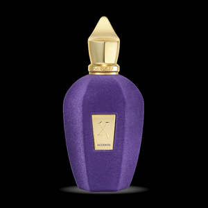 Xerjoff: XERJOFF Accento 100ml EDP V Collection