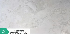 Arno Gray (P36003M) – World Flooring