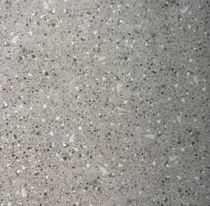 Products: Gray Terrazzo (PT60013) – World Flooring