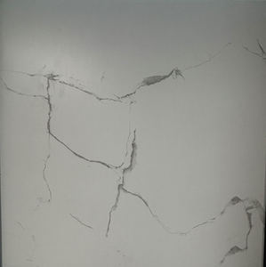 Products: White Carara (P68806) – World Flooring