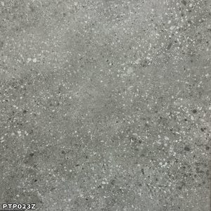 Products: Polished Concrete (PTP023Z) – World Flooring