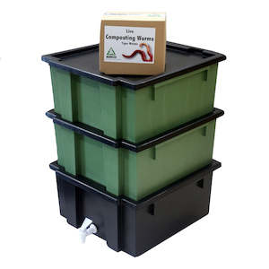 Worm Farms: COMBO SPECIAL: WormsRus Worm Farm - Base and 2 Feeding trays with 250g Worms