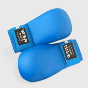 Protective Gears: Sparring Gloves - Blue