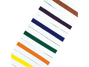 White Belt with Coloured Stripe