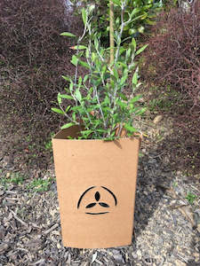 EmGuard™ Plant Protectors