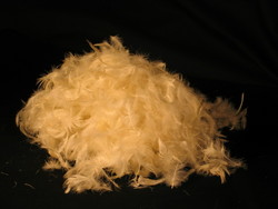 Fillings: FeatherDown