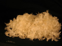 Fillings: FeatherPearl