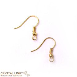 Gold Ear Hook