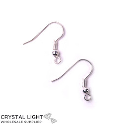 Bright Silver Ear Hook Pair