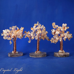 Small/Extra Small Trees: Citrine Tree