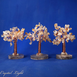Small/Extra Small Trees: Citrine Tree