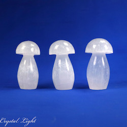 Mushrooms: Selenite Mushroom (6cm)