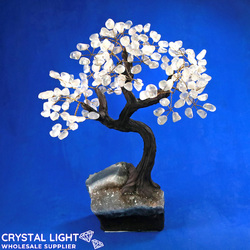 Clear Quartz Druse Tree (Single)