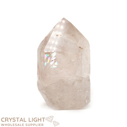 Single Point Listings: Rutilated Lodolite Point