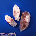 Sugar Coated Lithium Quartz Lot