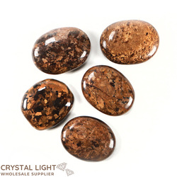 Bronzite Flatstone Lot