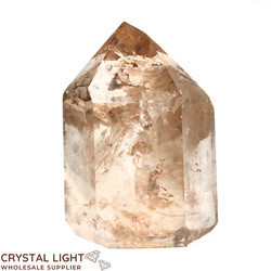 Lodolite Polished Point (Large)