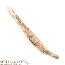 Teeth: Mammoth Tusk Specimen