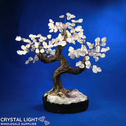 Large/Extra Large Trees: Clear Quartz Druse Tree (Single)