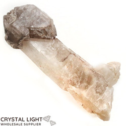 Smokey Elestial Quartz Sceptre