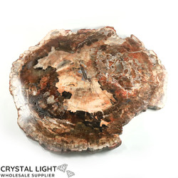 Slabs: Petrified Wood Slab
