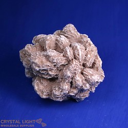 Desert Rose Large