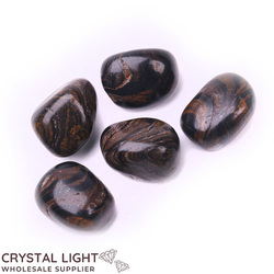 Tumble Lots: Stromatolite Tumble Lot